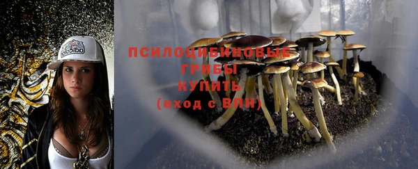 ECSTASY Алексеевка