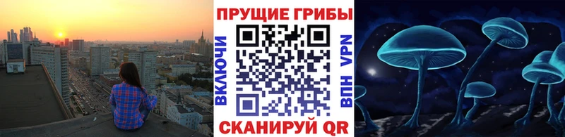 наркотики  Мензелинск  Галлюциногенные грибы прущие грибы 