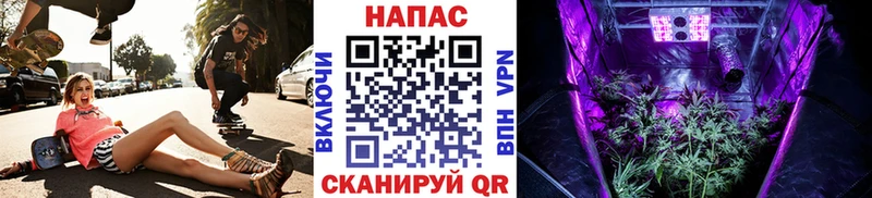 наркотики  Мензелинск  Бошки марихуана сатива 